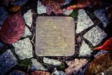 Scheeßeler Stolperstein